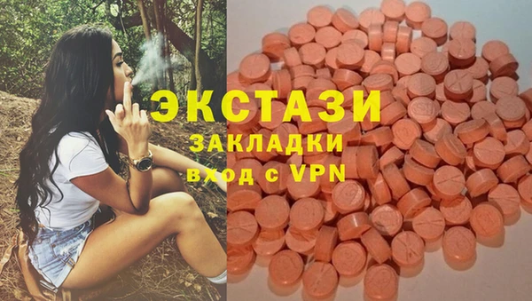 ECSTASY Алзамай