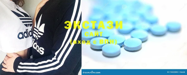 ECSTASY Алзамай