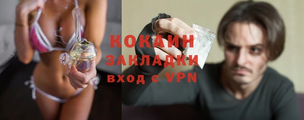 гашик Няндома