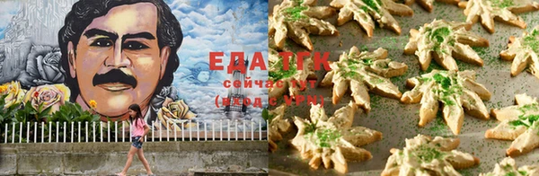 ECSTASY Алзамай