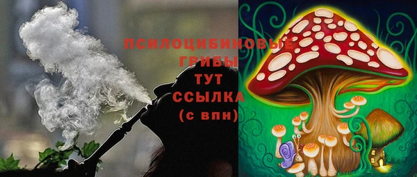 крисы Алексеевка