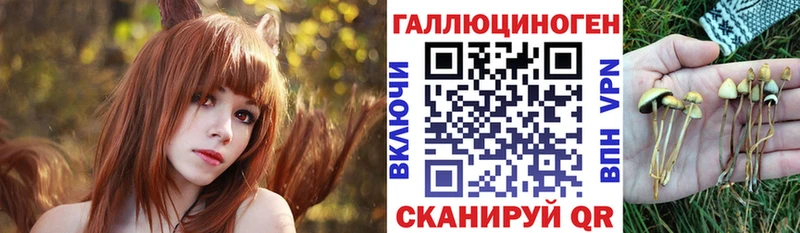 Псилоцибиновые грибы мицелий  Каневская 